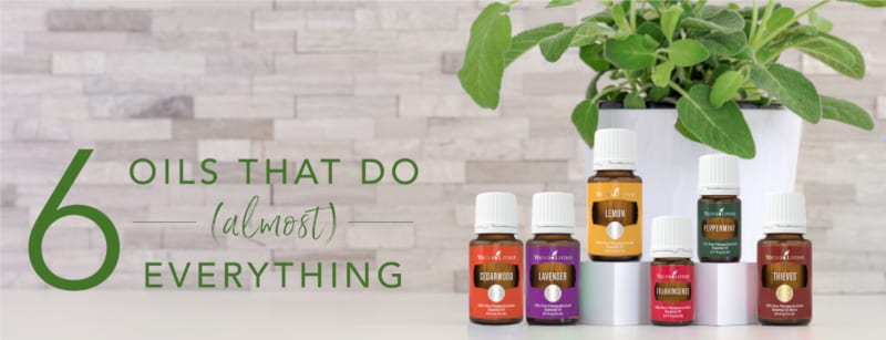 essential oils can be used as a supplement to support various body systems